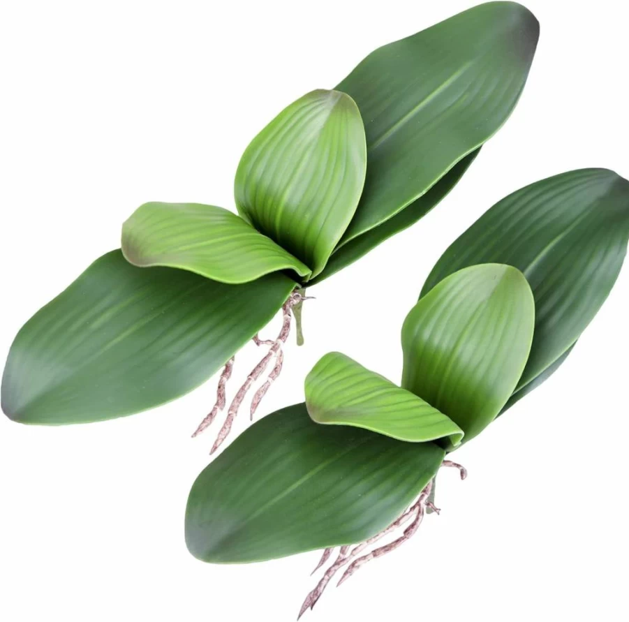 Fnize 8 Inch Artificial Phalaenopsis Orchid Stems - 2PCS Real Touch Latex Faux Leaves, Green Cymbidium Flower Foliage Bulk for Floral Arrangements